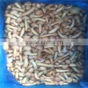 IQF Frozen Nameko M L grade European market