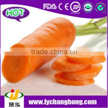 2014 new crop high quality fresh carrot S, M, L, 2L, 3L