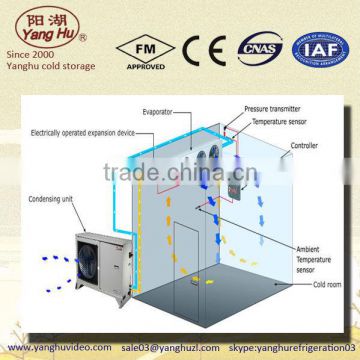 cold storage warehouses/room