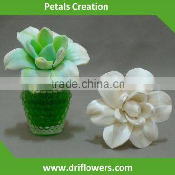 Sola flower diffuser