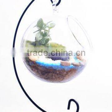 High Quality Clear Glass Vase , Fashion Glass Vase Round Shaped photo-2