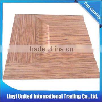 Nature Wood Veneer/Melamine Molded Door Skin