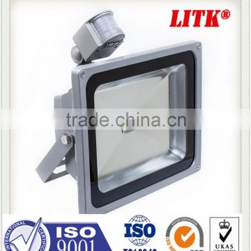 china alibaba manufacture Designer high quality 30w Outside 1 piece min order Led Flood Lights