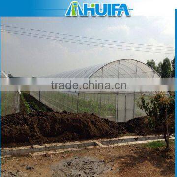 Single-Span Agricultural Greenhouses Type and Single Layer plastic film greenhouse