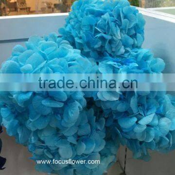 Flower Wedding Wholesale Preserved Flower Pink Hydrangea Macrophylla In Gift Box