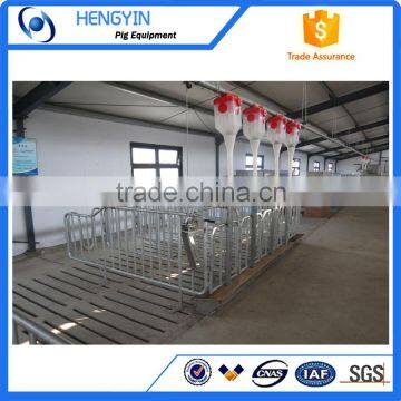 Poultry Farming Equipment for Pig photo-6