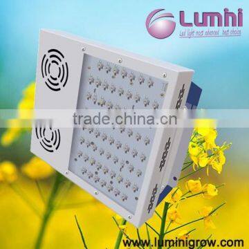 Lumini Led Grow Lights Led Plant Light Bulb for Greenhouse Indoor Grow Plants