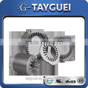 TAYGUEI Taiwan customized armature rotor stator lamination stacking