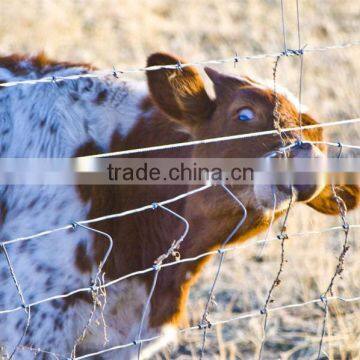 Knotted animal wire mesh Cheap farm iron fence