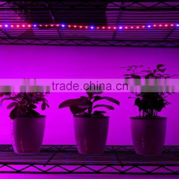 DC12V 300CM 60led/mSMD5050 Flexible Plant Growing Led Strip Light photo-6