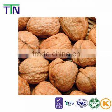 TTN 2015 Chinese Walnuts without Shells Price