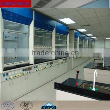 Chemical Resistant Galvanized Steel Biology Laboratory Chemical Fume Hood