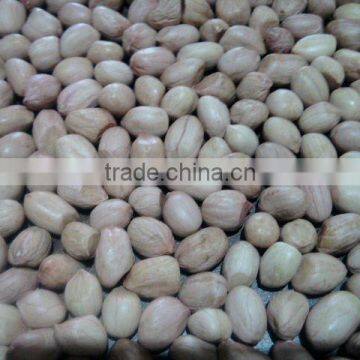 HIGH QUALITY GROUNDNUT KERNEL