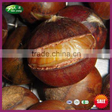 Organic Quick Frozen Ringent Cooked Chestnut