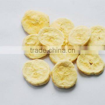 FREEZE DRIED PINEAPPLE SLICE SHAPE IN 5-7MM THICKNESS