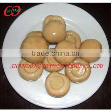whole sale To cook Canned mushroom whole sliced