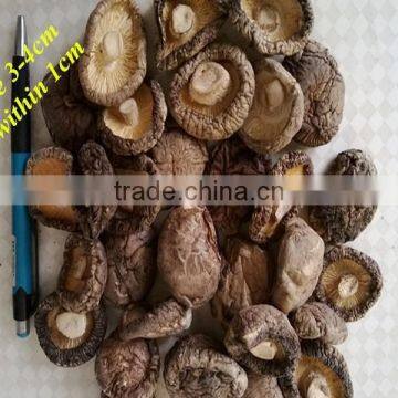 dried lentinus edodes mushroom