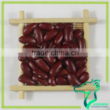 Chinese Health Food Canned Dark Kidney Beans Price