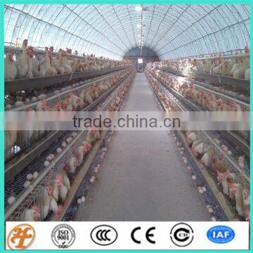 China supplier poultry farm design battery cages for egg hens cages