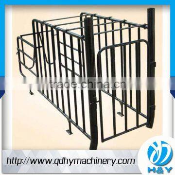 Swine Feeding Equipment