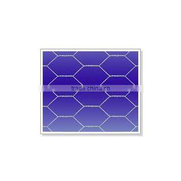 Hexagonal Wire Netting