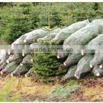 Christmas Tree Netting