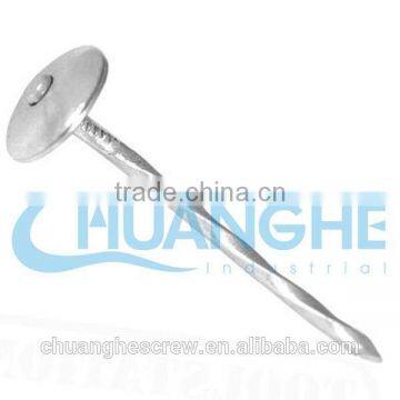 Square Head Corrugated Roofing Nails photo-4