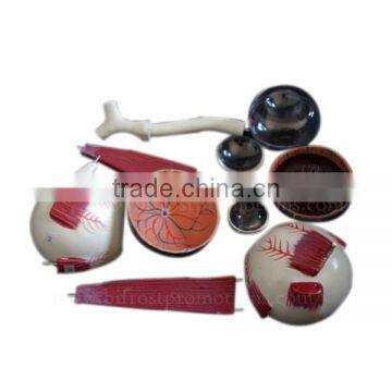 3 Times Biological Teaching Human Body Anatomy Eye Model photo-3