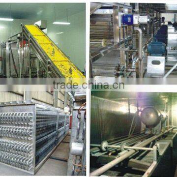 Iqf Tunnel Freezer Potato Chips Machine Blast Freezer photo-2