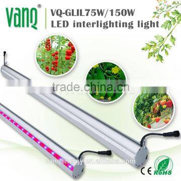 Wifi Controller LED Grow Light 75w For Greenhouse Project New Technolgy Smart LED Lighting