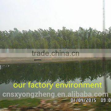 Cats Food 2.5 cm Mealworm:dried Mealworms photo-3