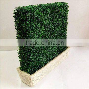 2017 SJ0032008 Hot Sale Artificial Boxwood Hedges for Outdoor UV Plastic Boxwood Hedges photo-3