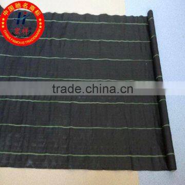 Weed Barrier Fabric Manufacture photo-2
