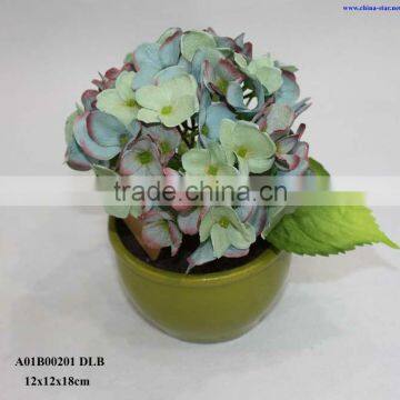 Mix Color Hydrangea Potted photo-3