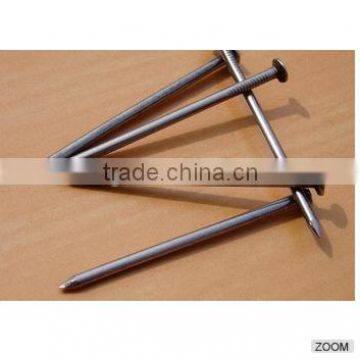 Galvanized Roofing Nails With Umbreall Head photo-3