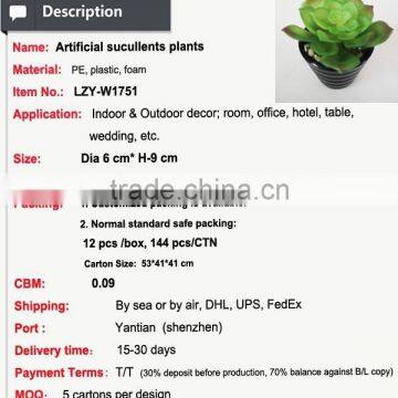 Wholesale Artificial Plants Mini Succulents for Indoor Decoration photo-2