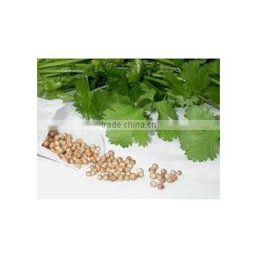 COARINDER OIL