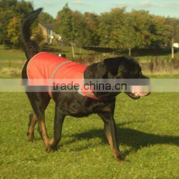 hi Vis Protective Neoprene Dog Vest