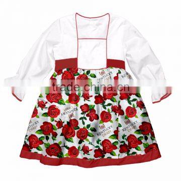 Fashion Baby Dress Long Sleeve Pirncess Girls Clothes Spring Autumn Winter Children Dresses For Girl Clothing photo-4