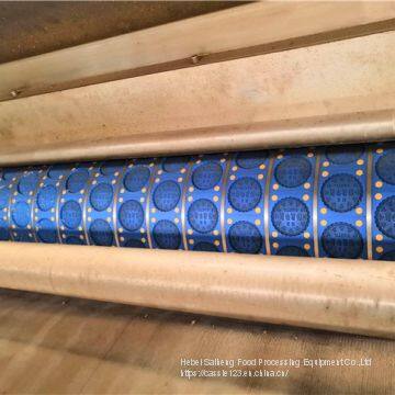 Saiheng Commercial Biscuit Production Line in Stock photo-5