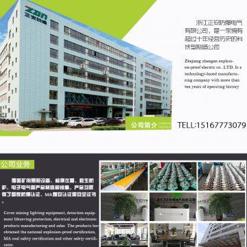 Zhejiang Zhengan Explosion Proof Electric Co., Ltd company overview - view 1