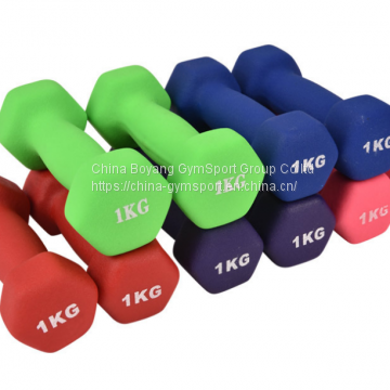 Home Fitness Dumbbell Sets for Women photo-5