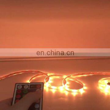 Relight color changing 12v cuttable led rope light Within 3days after receiving payment