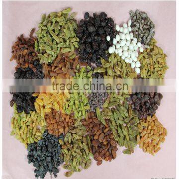 China red raisins dried black seedless fruit