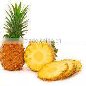 Fresh Yellow Pineapple from Vietnam