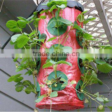 Hanging planter bag for strawberry