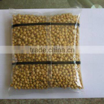 Automatic Pill Packing Machine DXDK-40