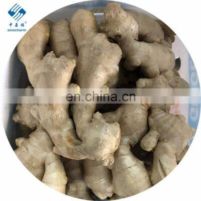 2020 Crop High Quality Fresh and Air Ginger photo-4