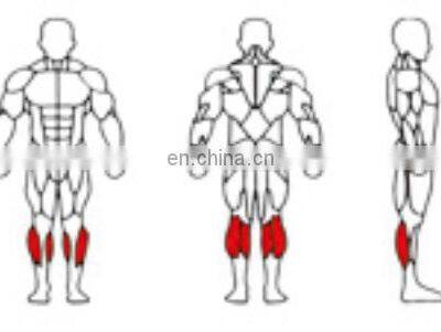 ASJ-A046 Wholesale Factory Manufactured Strength Trainer Standing Calf Machine Fitness Gym Equipment photo-4