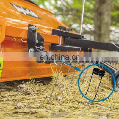 Steel Black Color Double Torsion Spring Tine Agricultural Machine Spring for Agricultural Machinery